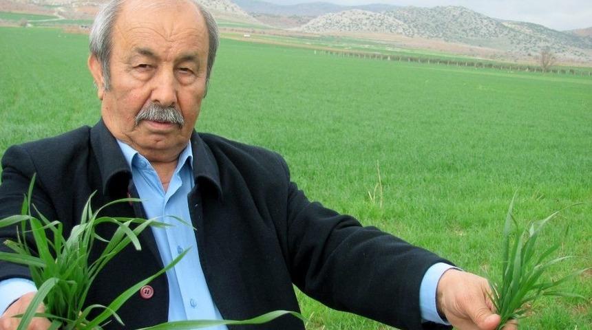 4 G&uuml;nl&uuml;k Sağanak Yağış Araban Ovasını Suya Doyurdu