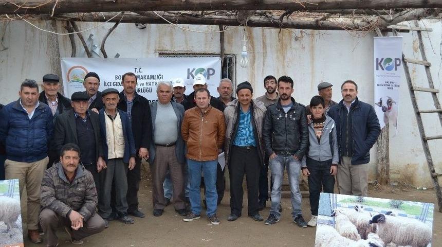 "g&ouml;&ccedil;e Karşı, Bafra Koyunu Yetiştiriciliği" Projesinde 115 &Uuml;reticiye Eğitim Verildi