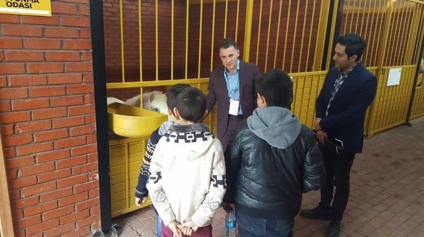 Atlı Eğitim Merkezi Gebzeli &Ccedil;ocukların Hizmetinde