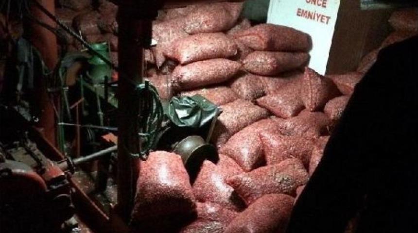 El Konulan 80 Bin Kilo Kum Midyesi Yeniden Denize Bırakıldı