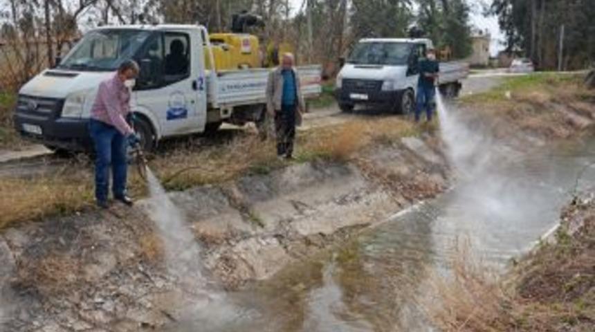 Kozan Belediyesi Haşereyle M&uuml;cadeleye Başladı