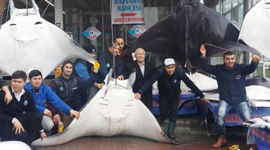 Akdeniz&rsquo;i Dev Vatozlar Bastı