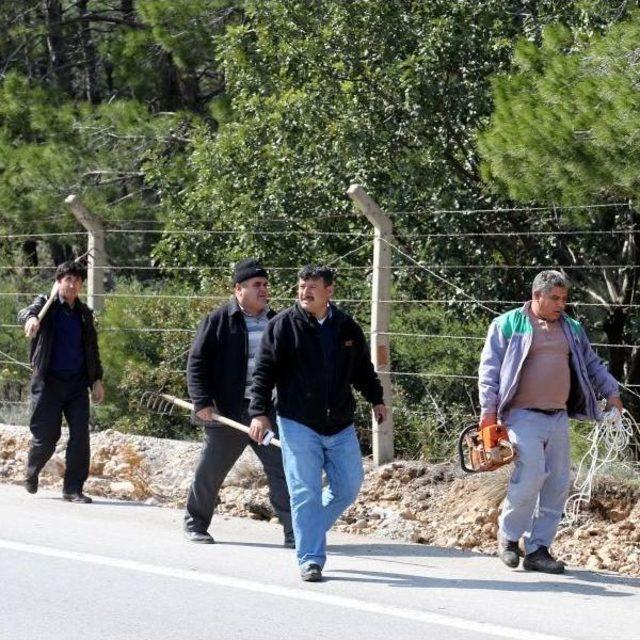 Antalya'da Korkutan Orman Yangını