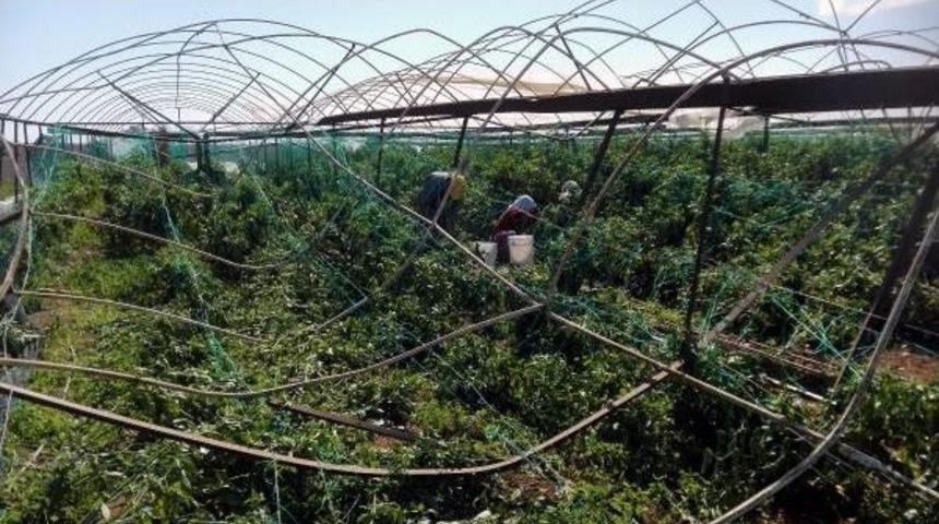 Manavgat'ta Hortumun Zararı 245 Milyon Lira