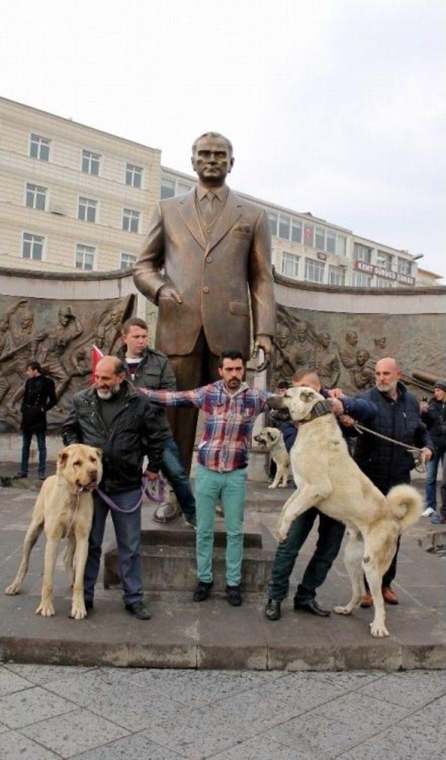 Hollandalılara Kangal Köpekli Gözdağı