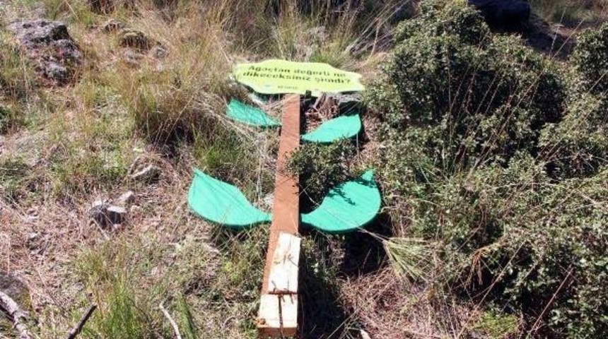 Protesto I&ccedil;in Dikilen Sembolik Ağa&ccedil;lar Da Kesildi