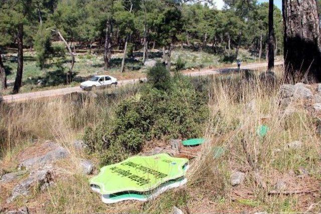 Protesto Için Dikilen Sembolik Ağaçlar Da Kesildi