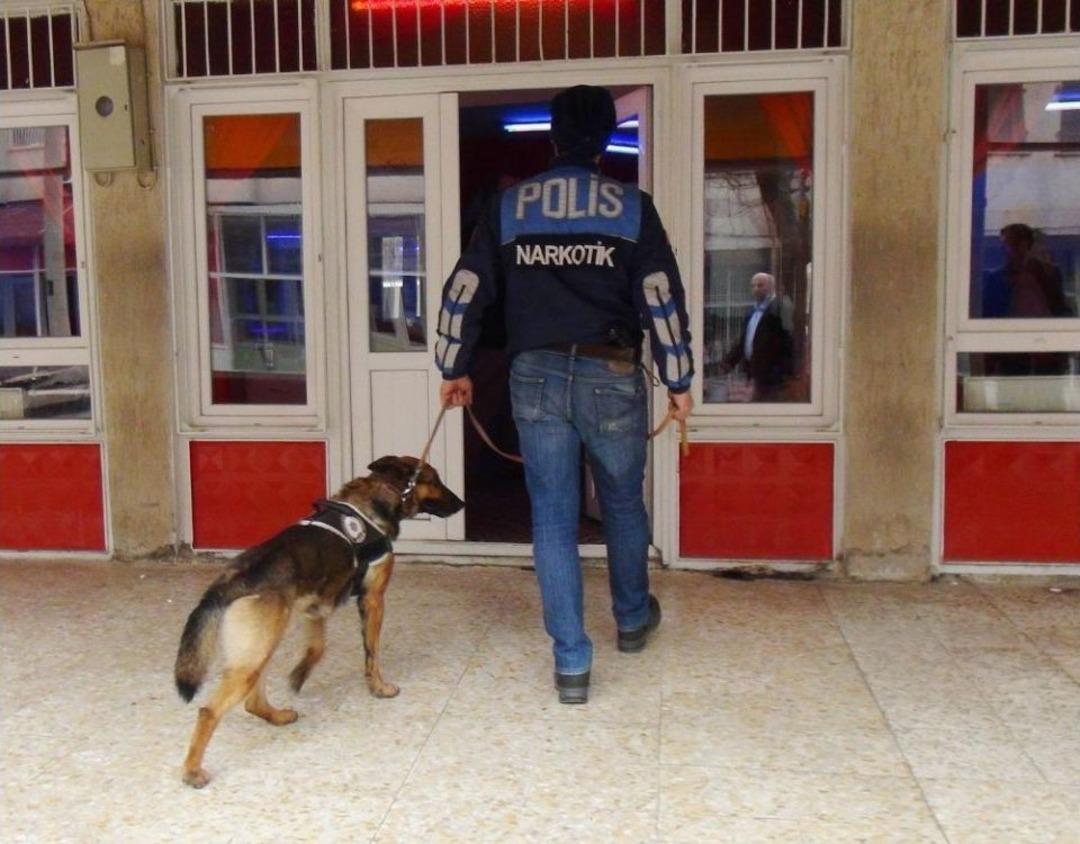Gaziantep Dedekt&ouml;r K&ouml;pekli Huzur Operasyonu