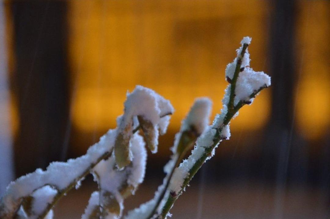 Erzincan&rsquo;da Yağan Kar Şehri Beyaza B&uuml;r&uuml;d&uuml;
