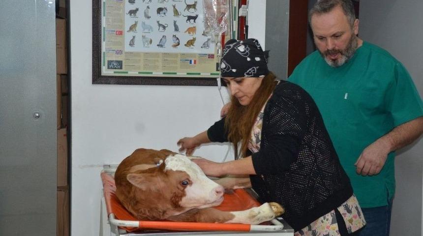 Messi&rsquo;nin Ayağı Ameliyatla Kesildi