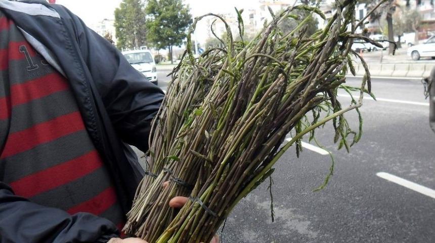 Aydın&rsquo;da Tilkimen Otu Pazarda Yerini Aldı