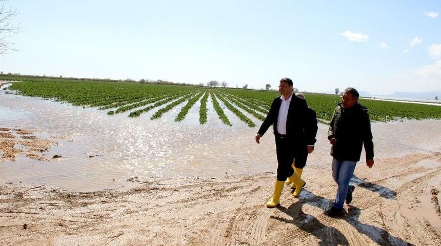 Başkan Turgut, Taşkından Zarar G&ouml;ren Tarım Arazilerini İnceledi