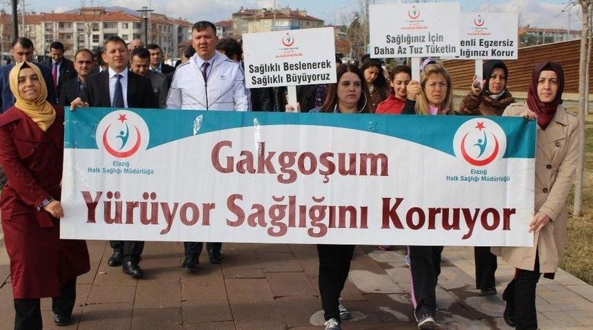 Sağlık &Ccedil;alışanları, Sağlık İ&ccedil;in Y&uuml;r&uuml;d&uuml;
