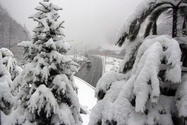 Bolu Dağı'nda 15 Santim Kar