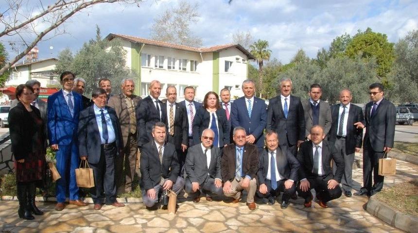 Silifke&rsquo;de Harap Zeytinlerin Aşılanması Başladı