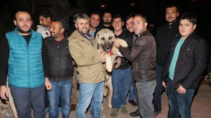 Konsolosluk &Ouml;n&uuml;nde K&ouml;pekli Protesto