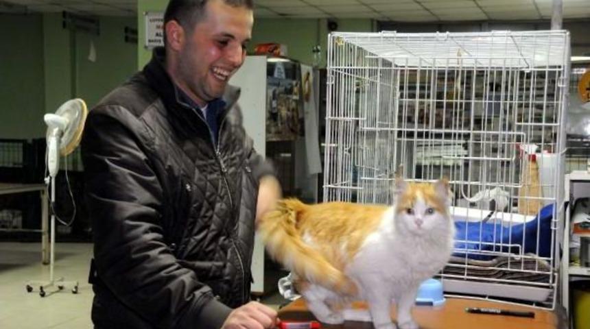 Uzman &Ccedil;avuş &Ouml;zkan, El Bab'dan Kurtardığı 'barış' Adlı Kediyi G&ouml;rmeye Geldi