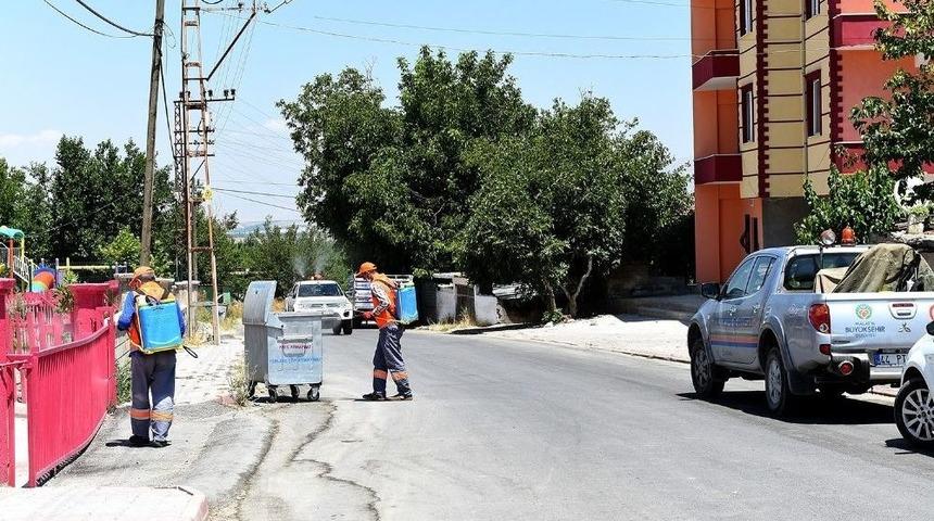 B&uuml;y&uuml;kşehir&rsquo;den Haşereyle Etkin M&uuml;cadele