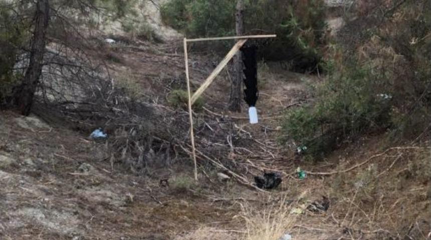 3 Bin D&ouml;n&uuml;m Ormanlık Alanda Zararlı B&ouml;cekle M&uuml;cadele Yapıldı