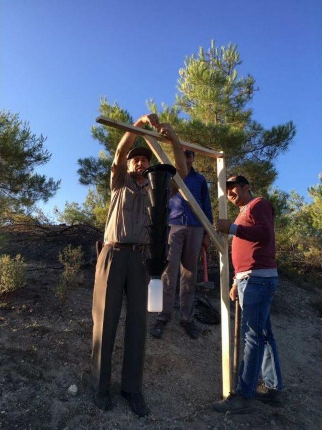 3 Bin Dönüm Ormanlık Alanda Zararlı Böcekle Mücadele Yapıldı