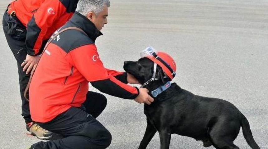 Hayat Kurtaran K&ouml;pekler B&ouml;yle Eğitiliyor