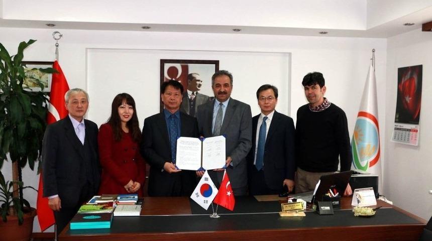 Kore Ve T&uuml;rkiye&rsquo;den "mantar" İş Birliği