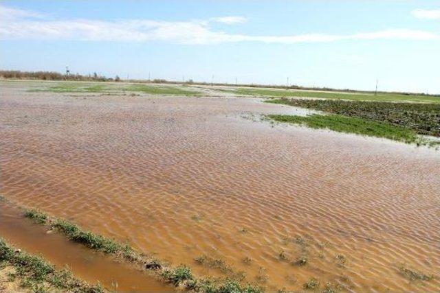 Silifke'de 109 Dönüm Tarım Arazisi Sular Altında Kaldı