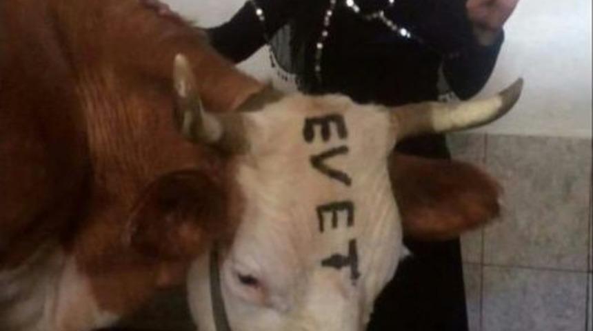 Rizeli Heidi &ldquo;evet&rdquo; Diyecek