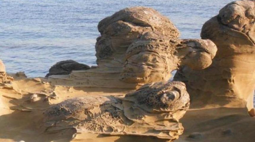 &Ccedil;anakkale'de şaşırtan keşif