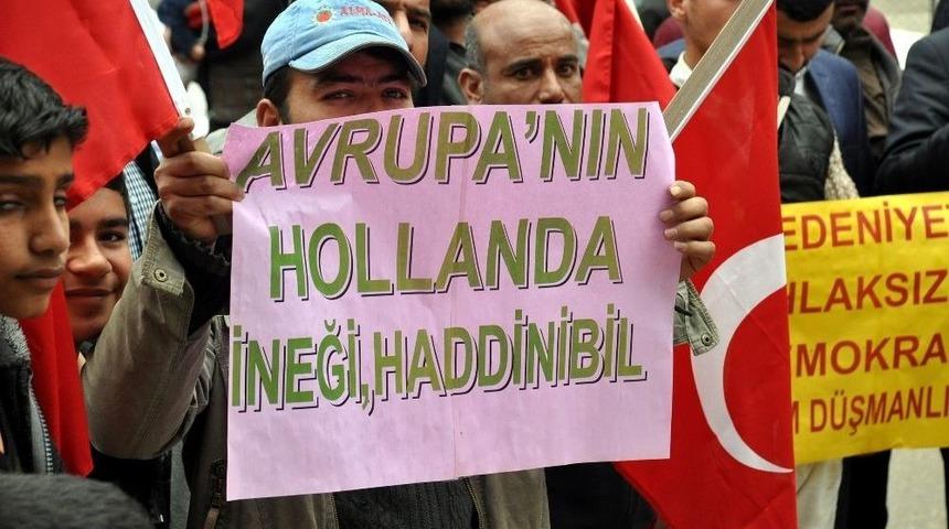Ak&ccedil;akale&rsquo;deki Stk&rsquo;lar Hollanda&rsquo;ya Tepki G&ouml;sterdi