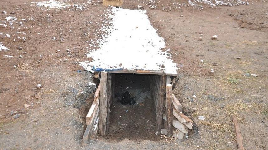 Darüşşifa’dan Çanakkale Savaşları Alanı Panoraması