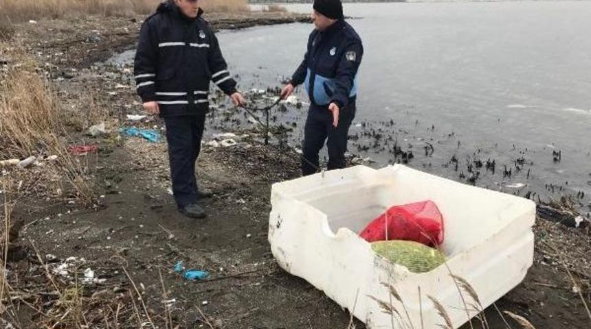 İzmit K&ouml;rfezi'nde Midye Avlayanlara Ceza