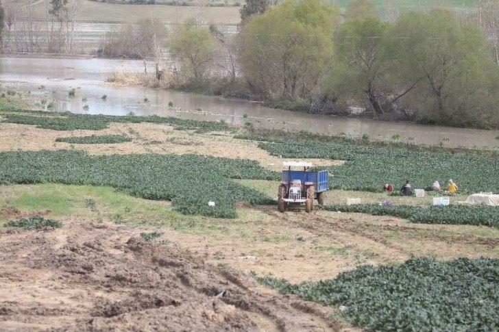 Çakıt Deresi Taştı, Bin Dönüm Tarla Sular Altında G3