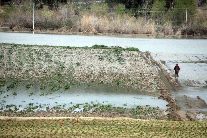Çakıt Deresi Taştı, Bin Dönüm Tarla Sular Altında G4