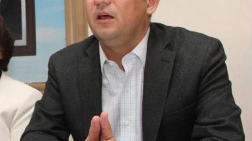 Chp'li &Ouml;zel, Otoyol I&ccedil;in Kesilen Zeytin Ağa&ccedil;larını Tbmm'ye Taşıdı