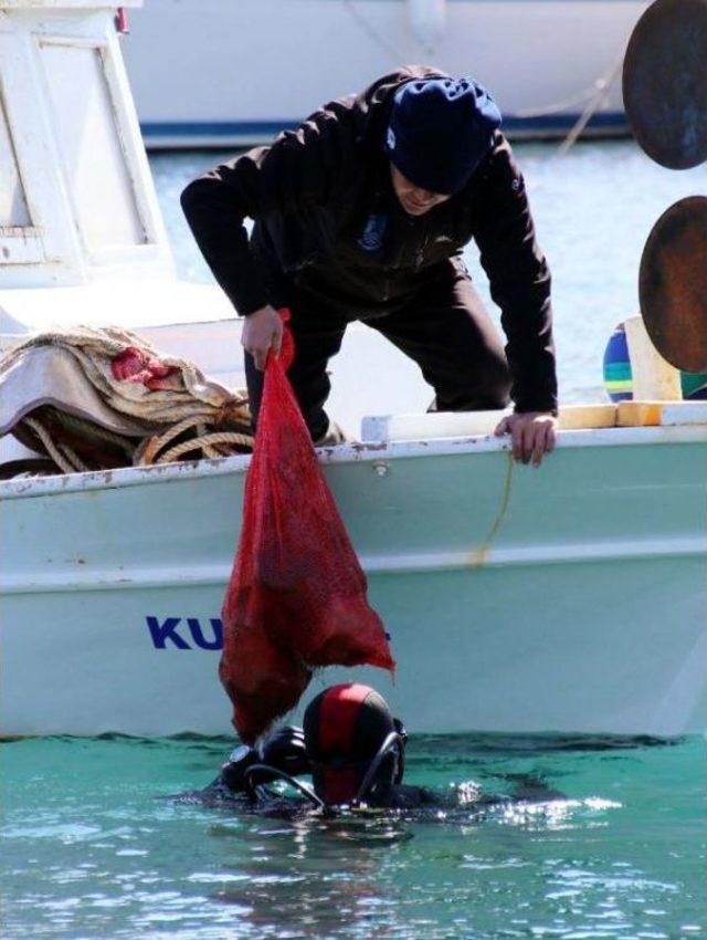 Akyarlar'da Deniz Dibi Temizliği