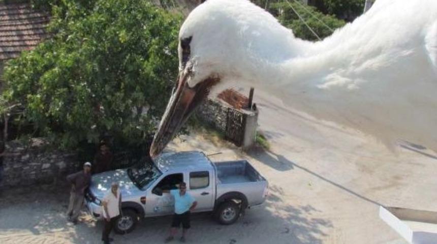Leylekleri Telef Eden Atıklarla Ilgili K&ouml;yl&uuml;ler Bilin&ccedil;lendirildi