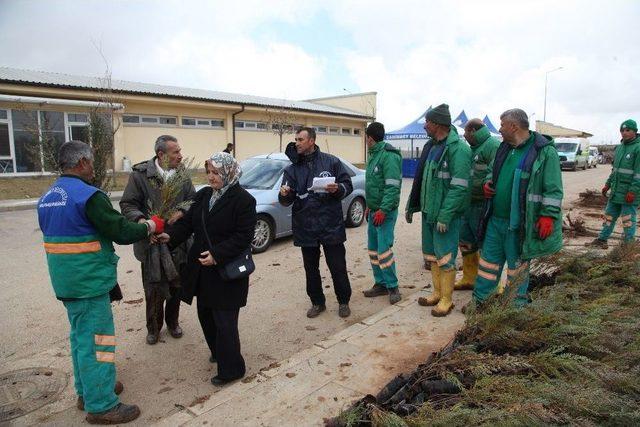 Şahinbey’de 184 Bin Fidan Dağıtıyor