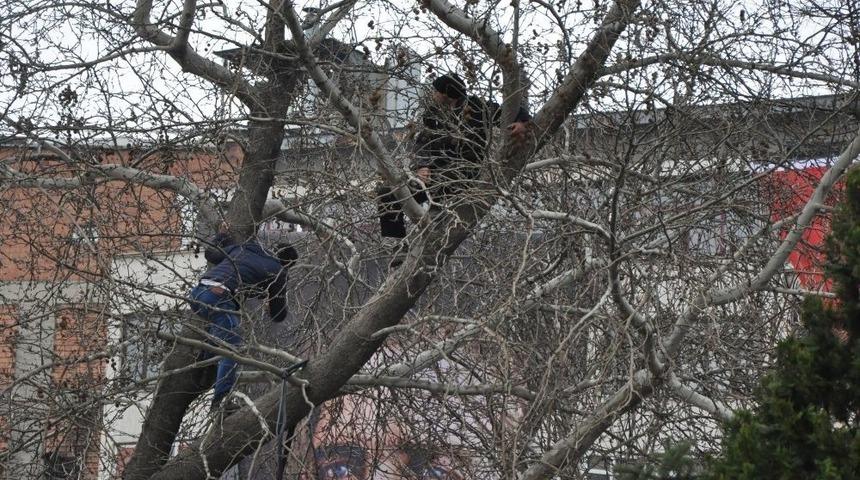 Cumhurbaşkanı Erdoğan&rsquo;ı Yakından G&ouml;rebilmek İ&ccedil;in Ağaca &Ccedil;ıktılar