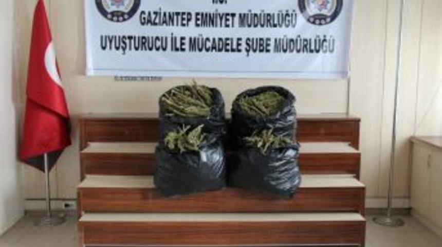 Gaziantep&rsquo;te 35 Kilogram Uyuşturucu Ele Ge&ccedil;irildi