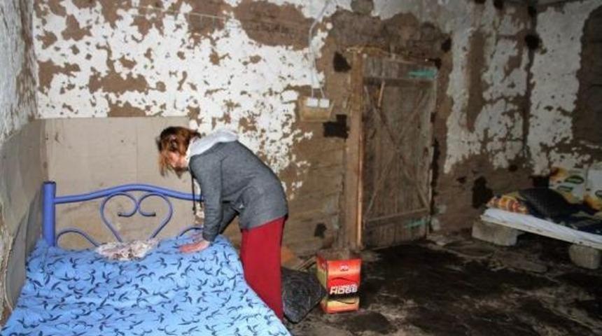 Koca Şiddetinden Ka&ccedil;tı, Barakada Yaşıyor