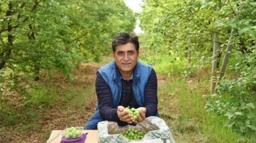 Can Erik &Uuml;reticinin Y&uuml;z&uuml;n&uuml; G&uuml;ld&uuml;r&uuml;yor