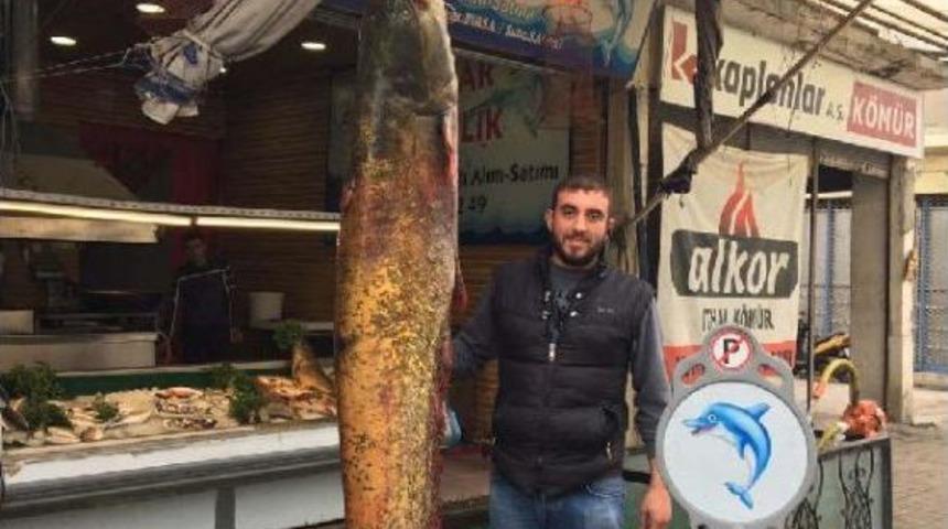 Dev Yayın Balığı Şaşkınlığı