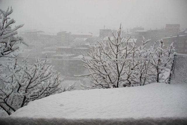 Hakkari’de 7 Köy Ve 15 Mezra Yolu Kapandı