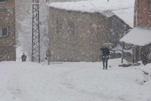 Hakkari'de Kar Yolları Kapattı