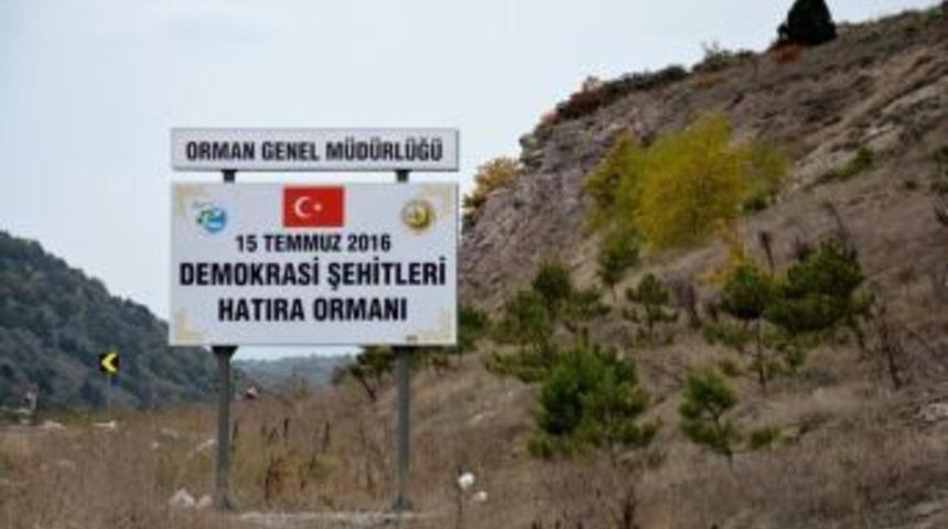 M&uuml;d&uuml;r Adnan Kayım: Şehitlerimizin Vatan Sevdası Fidanlarla Yarınlara Taşınacak