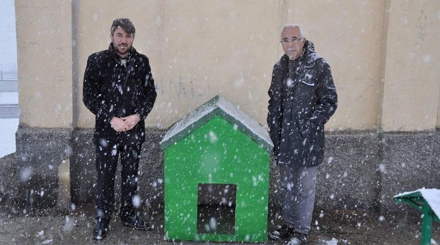 Yozgat&rsquo;ta Sokak Hayvanları Sıcak Yuvalarına Kavuştu