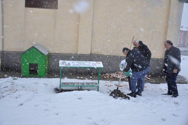 Yozgat’ta Sokak Hayvanları Sıcak Yuvalarına Kavuştu