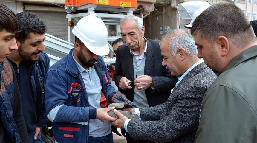Elektrik Tellerine Asılı Kalan Kuş Kurtarıldı