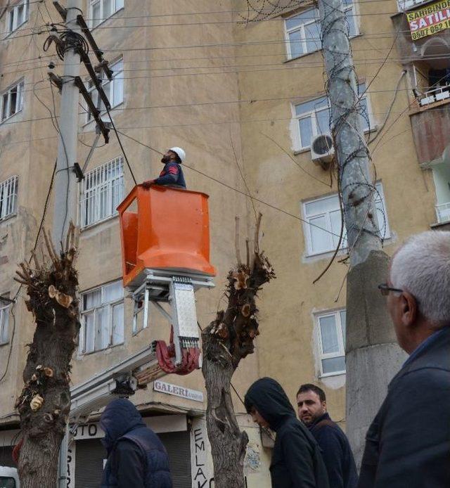 Elektrik Tellerine Asılı Kalan Kuş Kurtarıldı